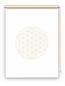 Preview: Rollo Blume des Lebens beige blanco  - Sichtschutz Extartiqe